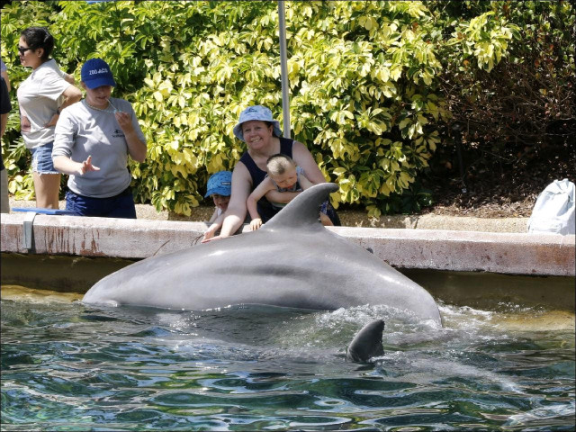 Garret and Family with Dolphin at Sea World